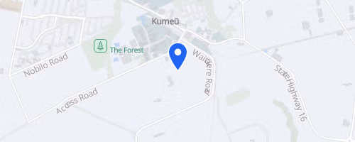 Family Tough Guy and Gal Challenge: West Auckland