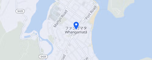 Whangamatā Half Marathon