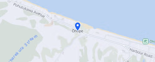 Whakatāne Bush Half Marathon
