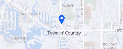 Treat Trot - Tampa