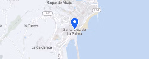 Bestial Race la Palma