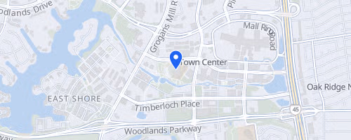 The Woodlands Marathon