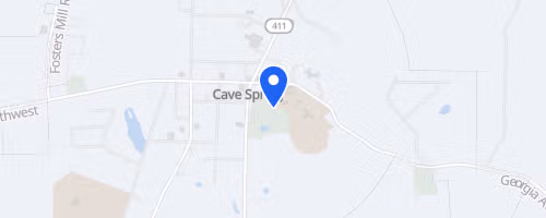 Cave Spring Arts Festival 5K & 1M