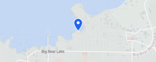 Swim the Bear
