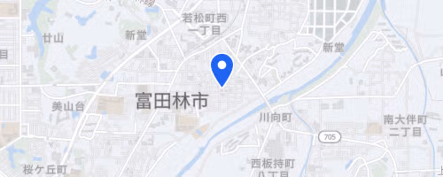 Ecomarathon de Tondabayashi