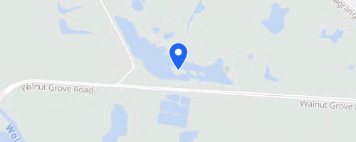 Turkey Trails - Memphis
