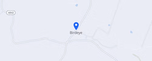 Birdeye