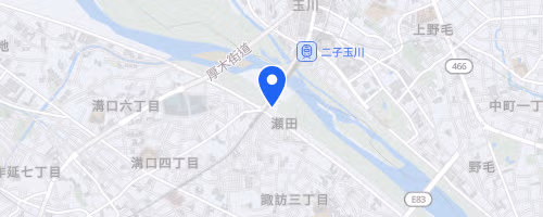 第125回 TAMAハーフマラソン