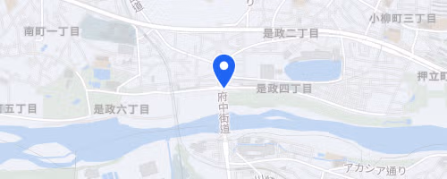 第47回スポーツメイトラン府中多摩川風の道マラソン【計測チップ有り】