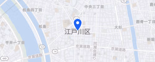 第33回葛西臨海公園ナイトハーフマラソン（6月開催）