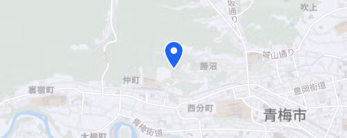 2026Tokyo100