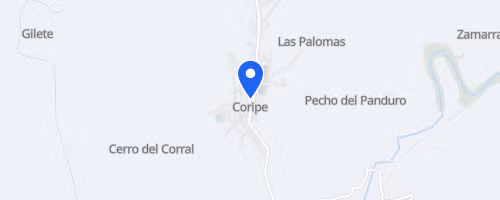 CXM Nocturna de Coripe 15k 11k