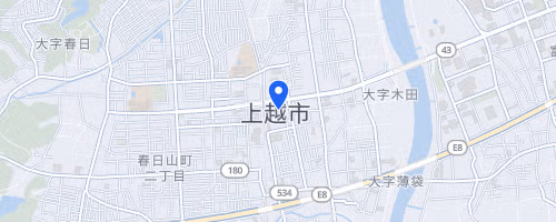 Echigo Kubikino 100km Marathon