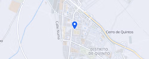 Carrera Popular Virgen del Pilar