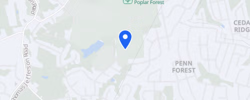 Face the Forest 5K (Obstacle Course Race)