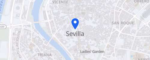Carrera Nocturna del Alamillo