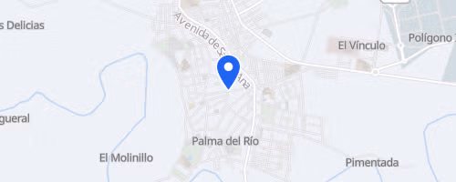 Carrera Popular Palma del Río