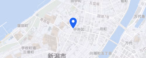 Niigata City Marathon