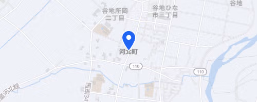 第45回べに花マラソン
