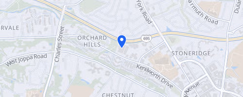 Altra Charles Street 12 and 2-Person Relay