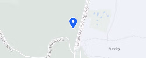 Catoctin 50k Trail Run & Half Cat