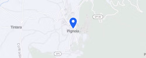 XVII^ Pantano Half Marathon
