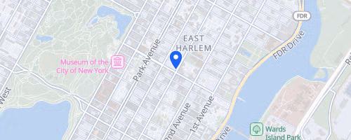 NYC Summer Half, 5 Miler