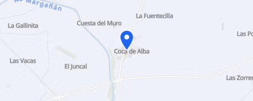 Carrera Solidaria Un Nuevo Impulso