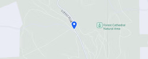 Cook Forest 25k Trail Challenge