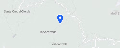 Cursa per Collserola