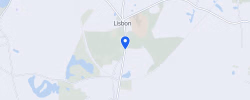 Lisbon Fall Festival Road Race