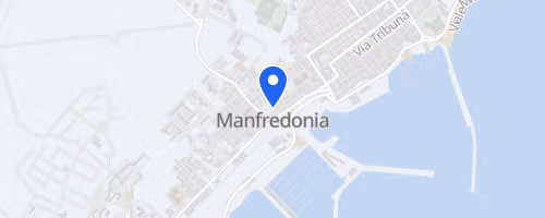 IX^ Re Manfredi Run