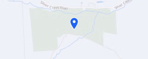 Salt Springs Field, Forest & Falls Trail Races