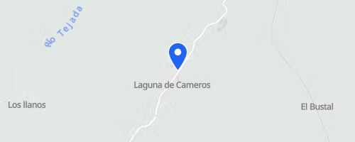RTS - Camero Viejo