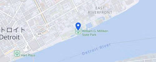 Susan G. Komen of Southeast Michigan — Race for the Cure, Detroit