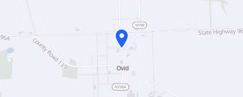 The Ovid Strawberry Festival 5K