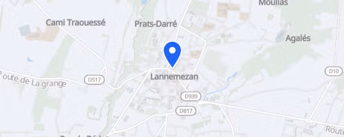 Les foulées du plateau - Lannemezan