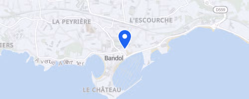 Salomon Bandol classic