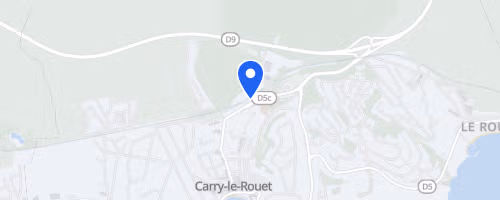 Carro-Carry