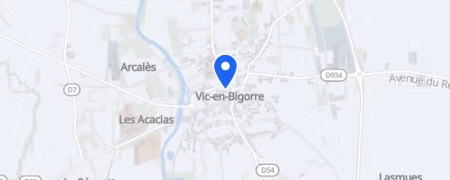 Foulée des 1000 pattes - Vic-en-Bigorre
