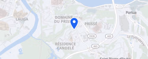 Course des hirondelles - Saint-Pierre-d'Irube