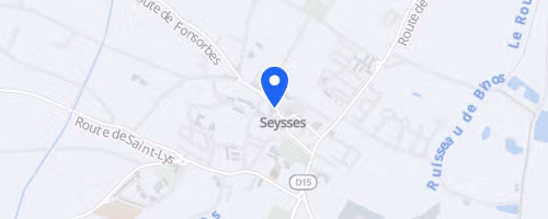 La foulée pour la vie - Seysses