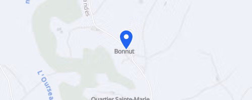 Course des fêtes de bonnut