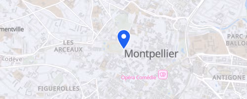 Montpellier run festival
