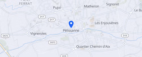 Courses des Foulées Pélissannaises - Pelissanne