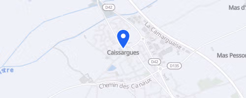 Le Running de Caissargues - 11 km 2026