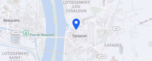 Le mile de la tarasque - Tarascon