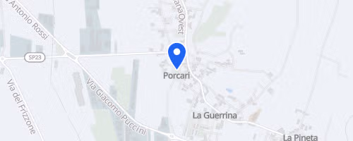 La corsa dei 100