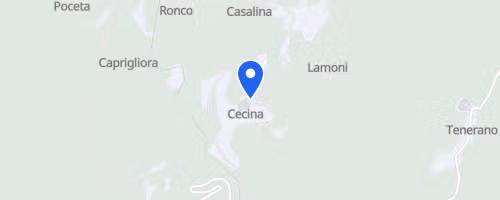 14° CorriCecina