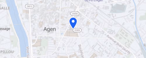 Les foulées du petit bleu - Agen